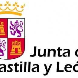 Auxiliar Administrativo promoción interna Junta de Castilla y León. Convocatoria 2019