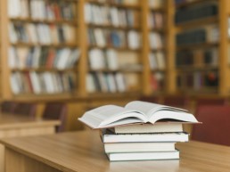 Auxiliar de Biblioteca UVA 2020