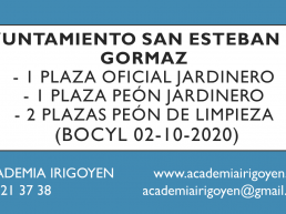 Oficiales y peones San Esteban de Gormaz