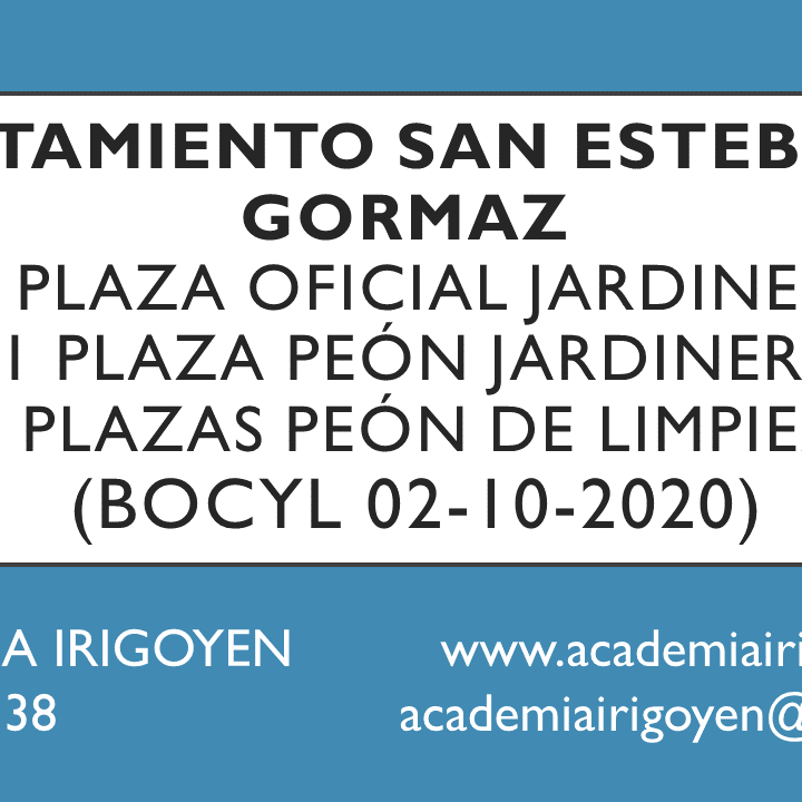 Oficiales y peones San Esteban de Gormaz