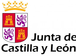 Examen Personal de Servicios Junta de Castilla y León