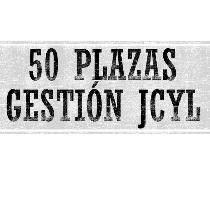 Gestión Convocatoria 2022 Junta de Castilla y León