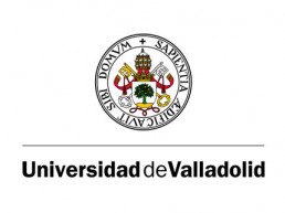 Auxiliar Administrativo Universidad Valladolid